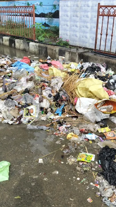 गोरखपुर में मेडिकल कॉलेज के पास कूड़े का अंबार, सफाई व्यवस्था पर सवाल